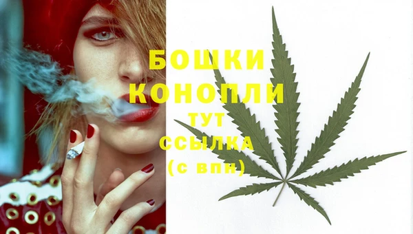 меф Белокуриха