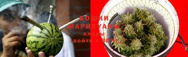 гидропоника Белоозёрский