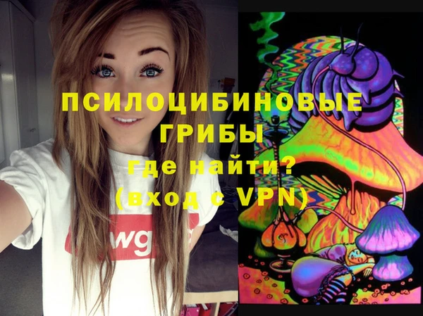 гидропоника Белоозёрский