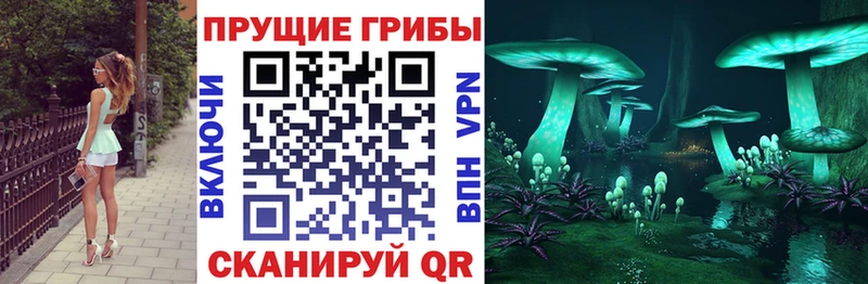 Галлюциногенные грибы прущие грибы  где можно купить   Серафимович 